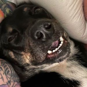 Meet your Posher, Robert